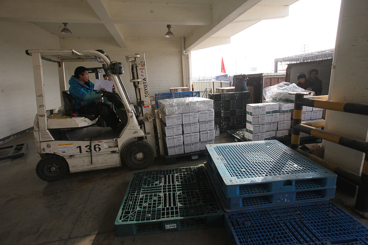 冷链物流实践报告：结论与建议