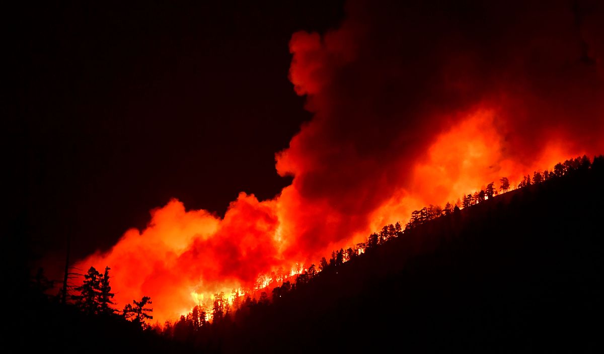 Dezhou Firefighters Rescue Stranded Chicks After Truck Accident