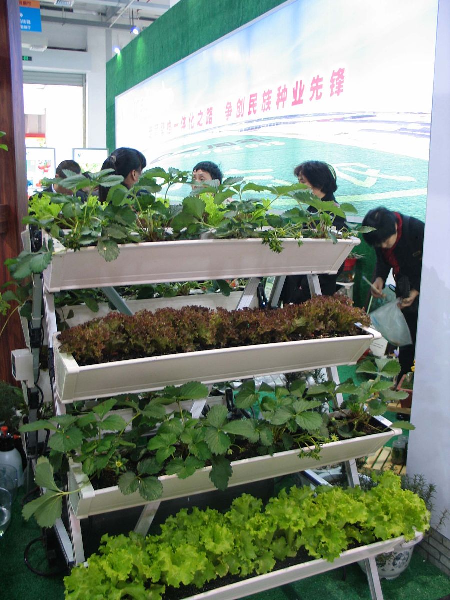 种菜时间表：祖先智慧的传承与现代农业的融合