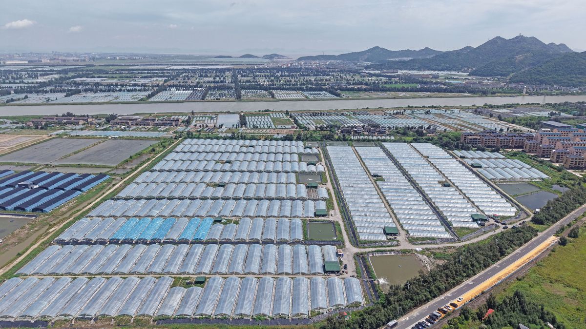 计划打造一处预制菜产业园包含一处中央厨房、渔业码头