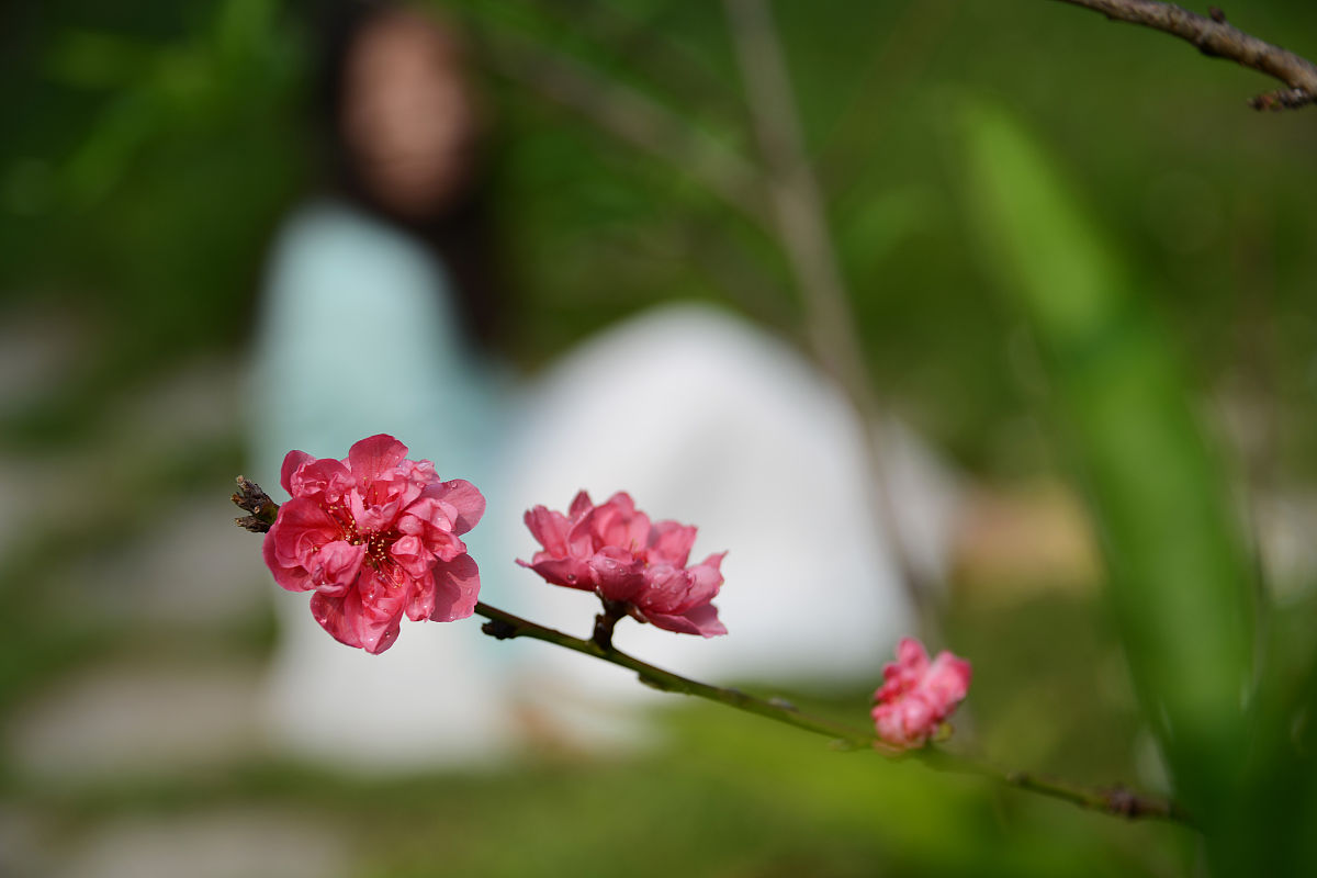 广西科技大学国际经济与贸易专业如何好学吗