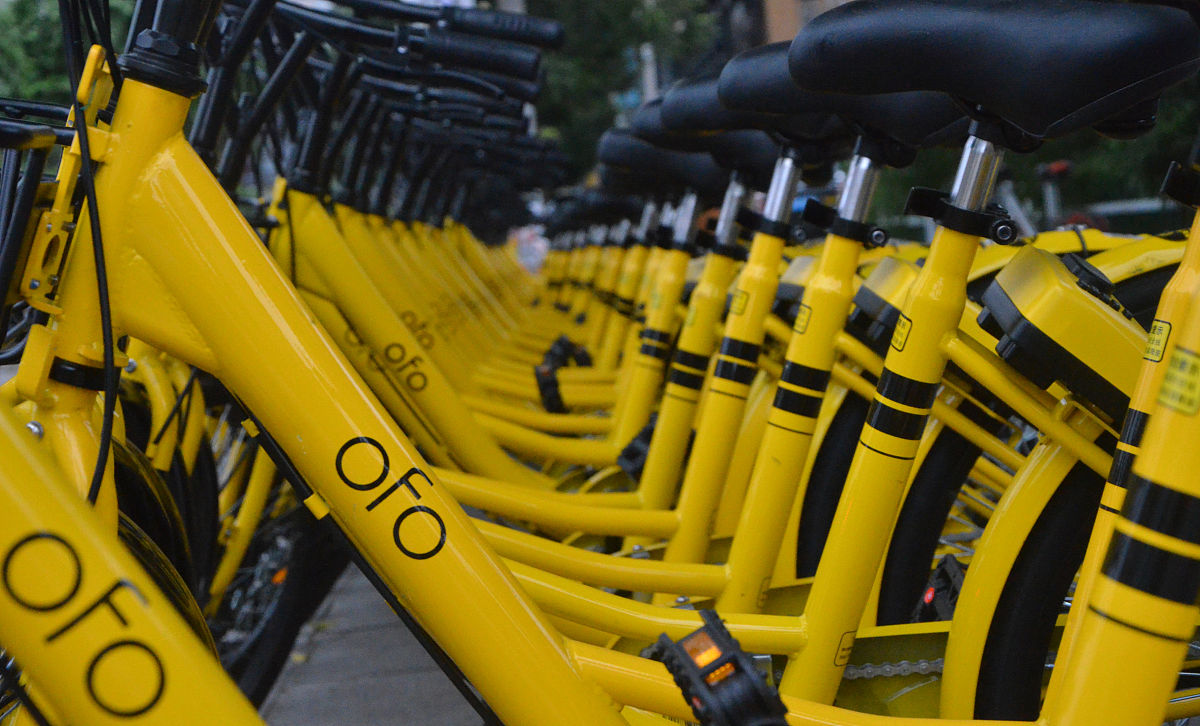 8000多粉丝小黄车却不出单咋回事 帮我用200字详细描述