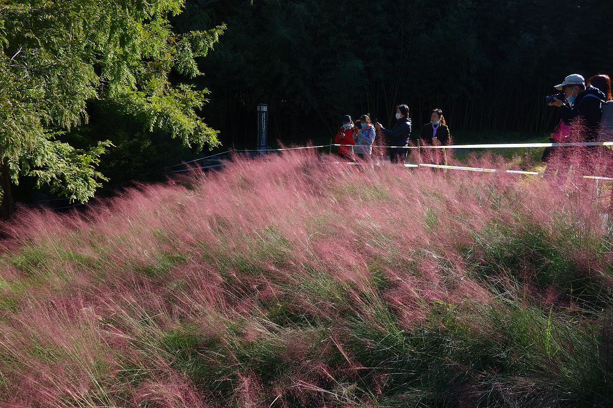 心如蛇蝎是什么意思？详解心狠手辣的本质