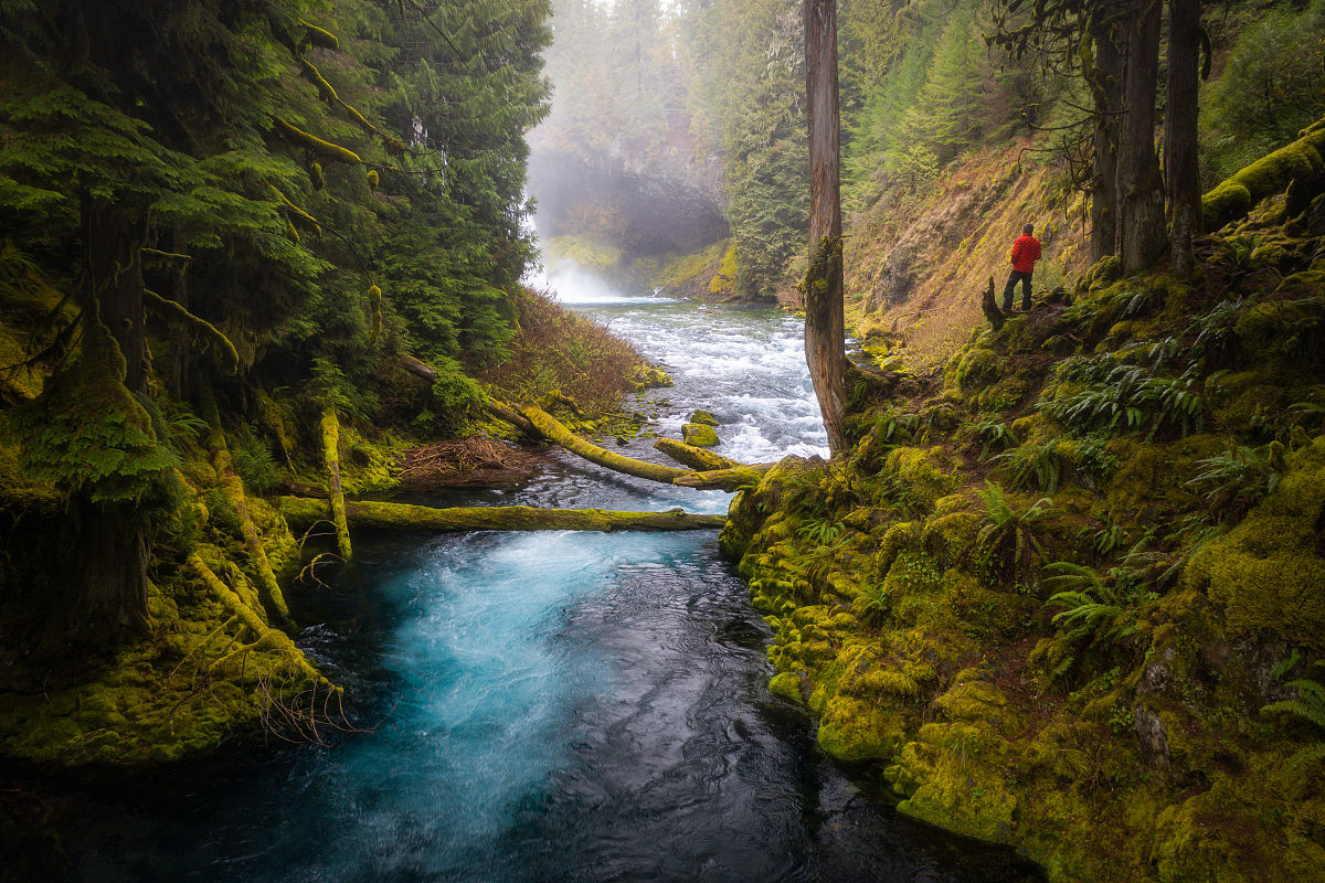 盛行于世是什么意思_词语盛行于世的意思