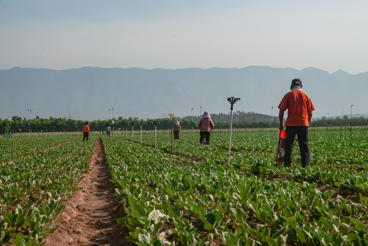 凉山州农业学校是否公办