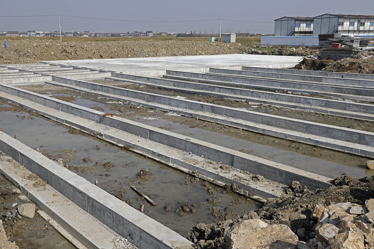 养殖区海参布置是否有随机性