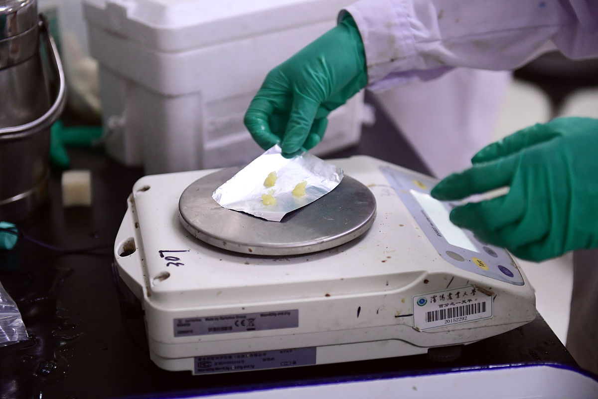 南华大学医学院2022年招生简章 - 报考指南及招生人数