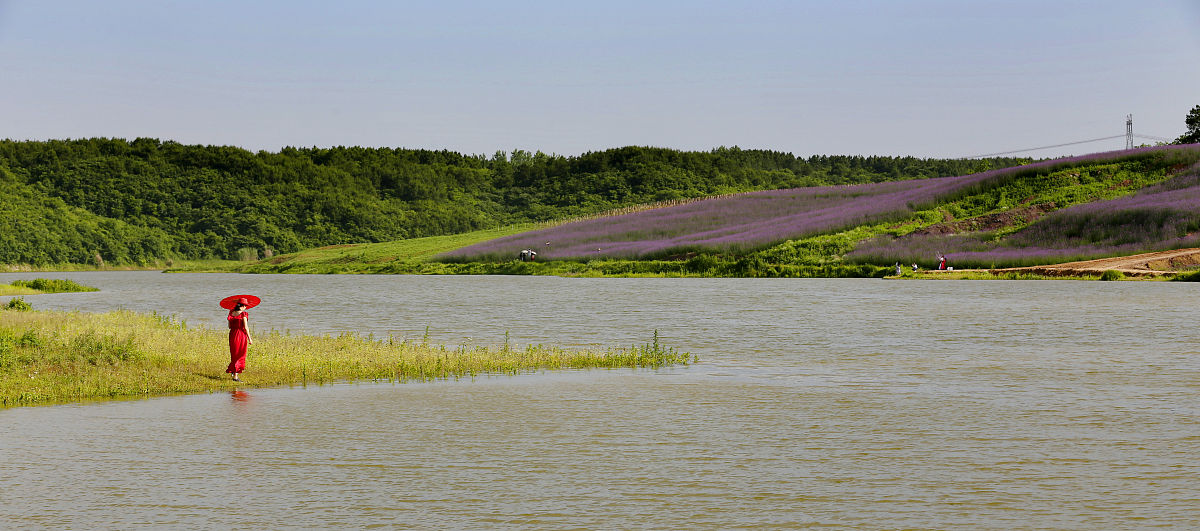 生活中的风景为题写一篇作文七年级作文