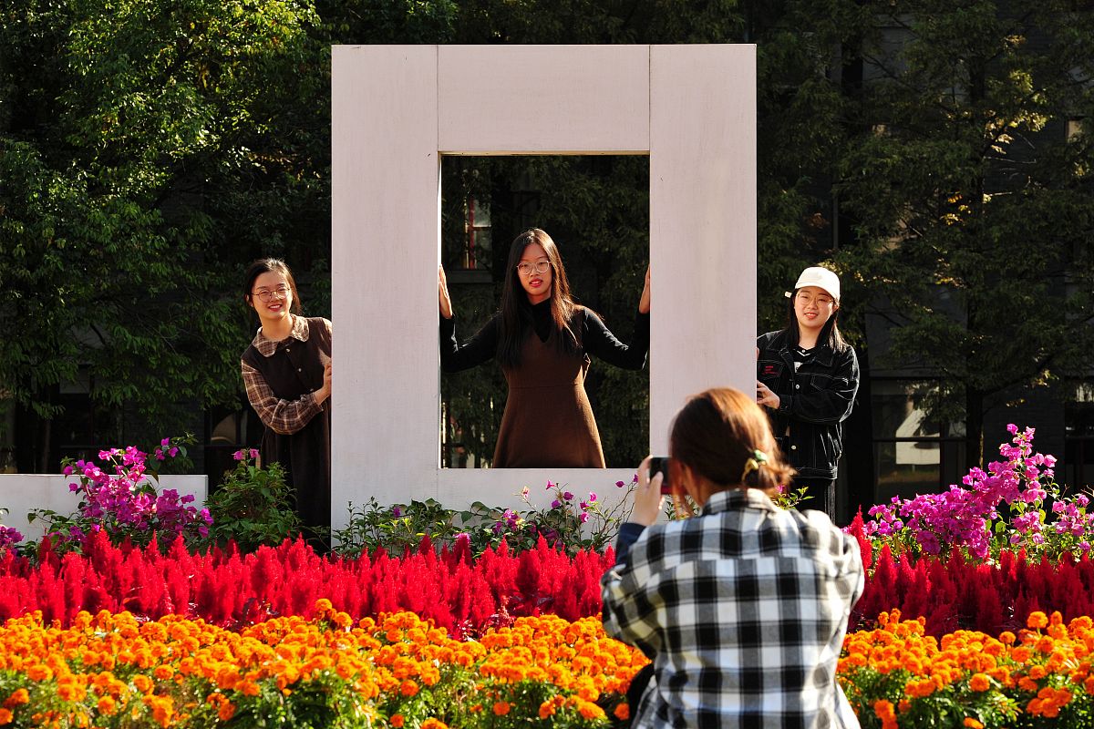 天津职业技术师范大学2020春季招生办电话_联系方式