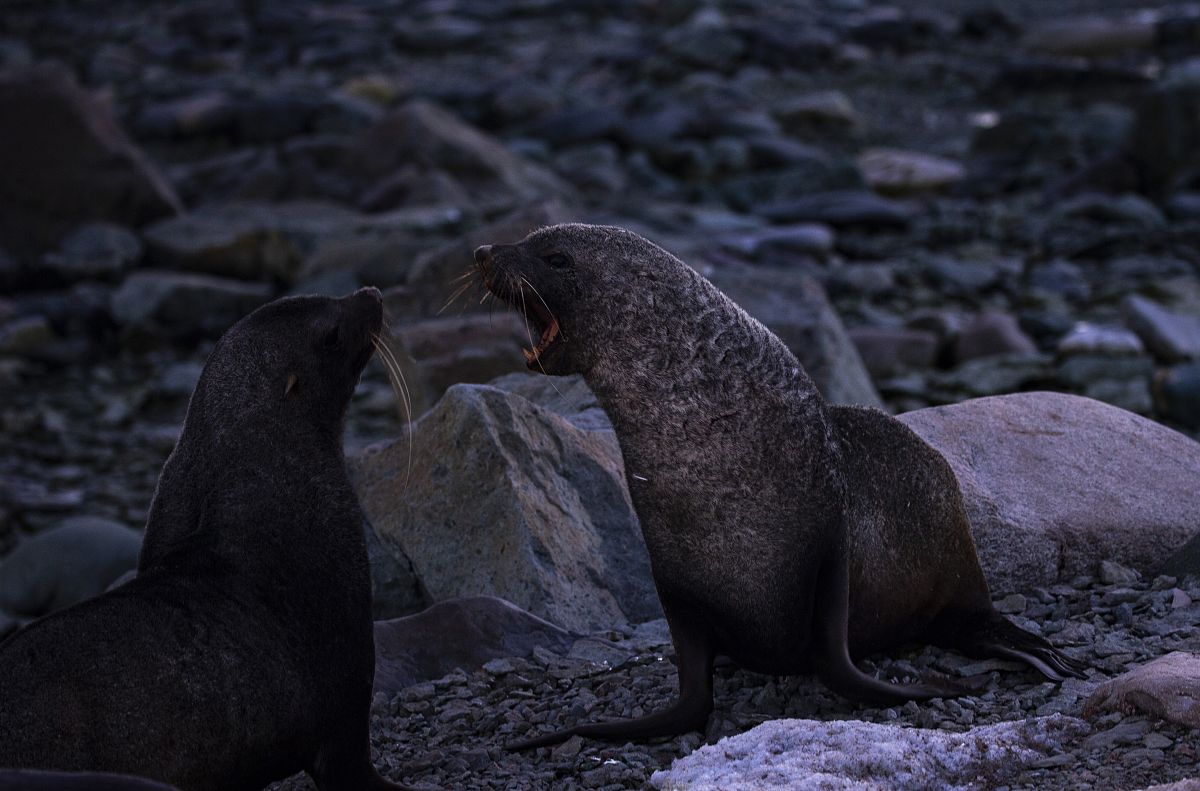 海洋与淡水研究期刊：涵盖生态学、水生生物学、水文学和水资源管理