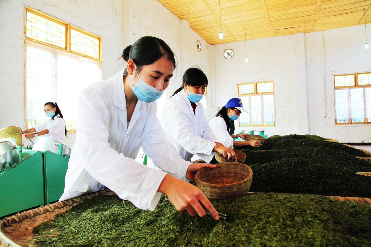 遵义中专学校什么专业好？选择适合自己的职业教育之路