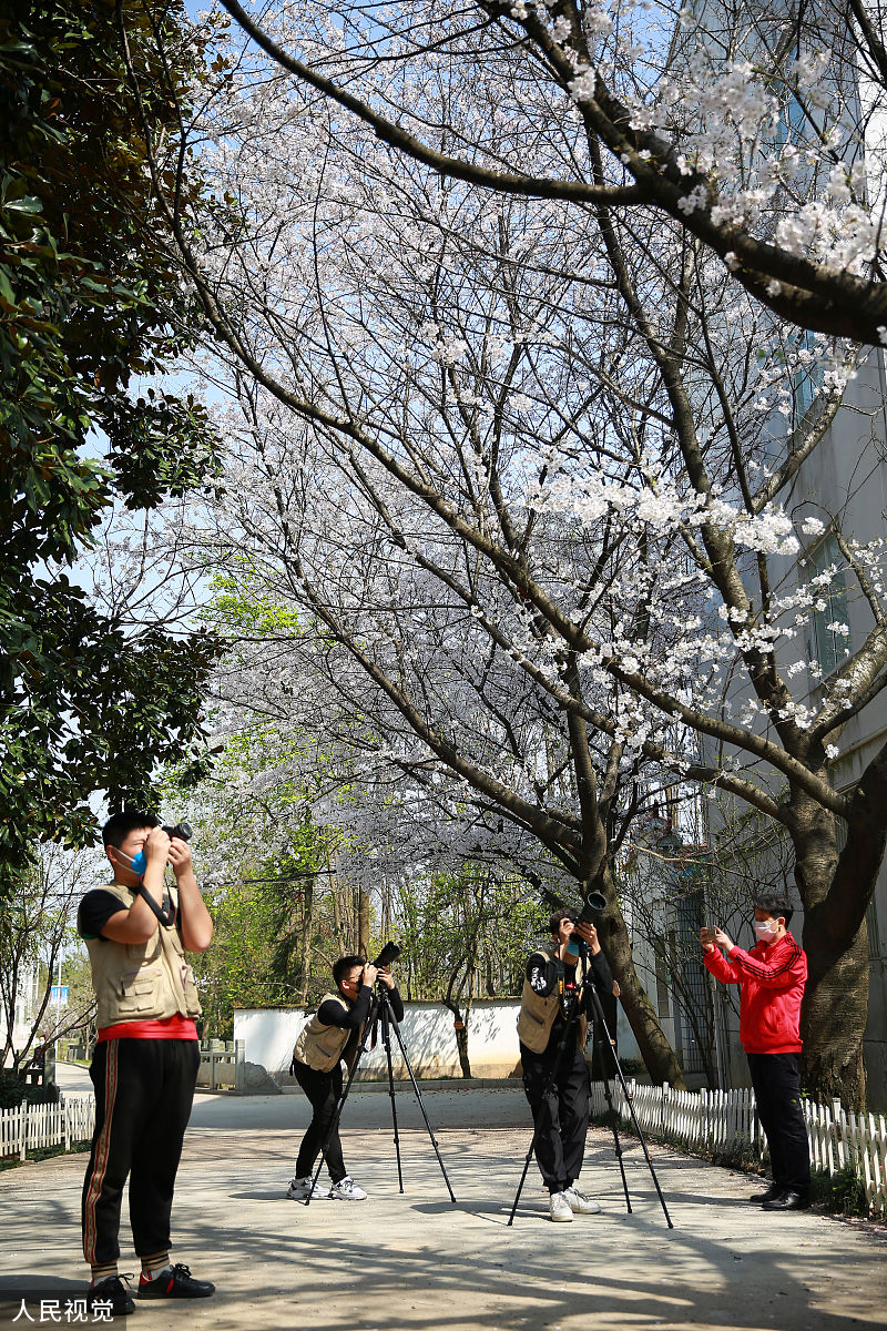 南宁第六职业技术学校2023年招生简章-怎么样