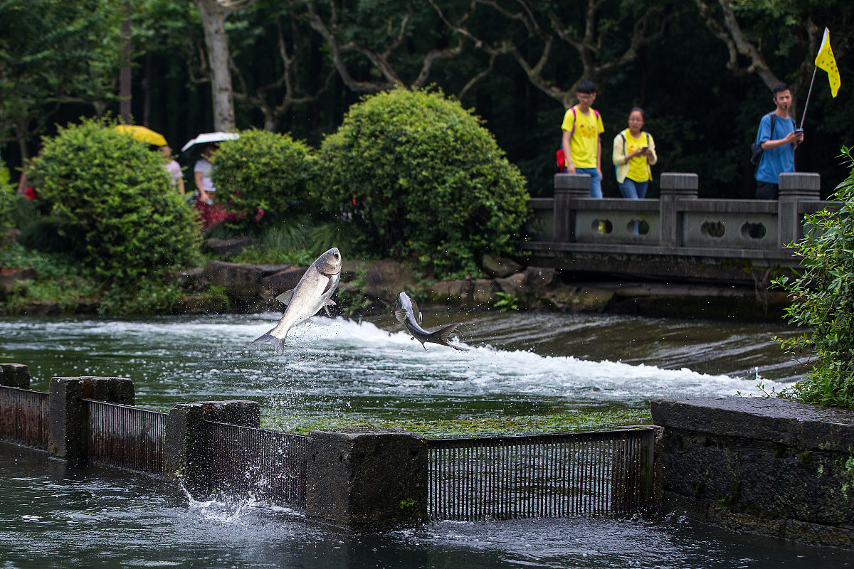 和yu相关的表达爱情的成语都有哪些