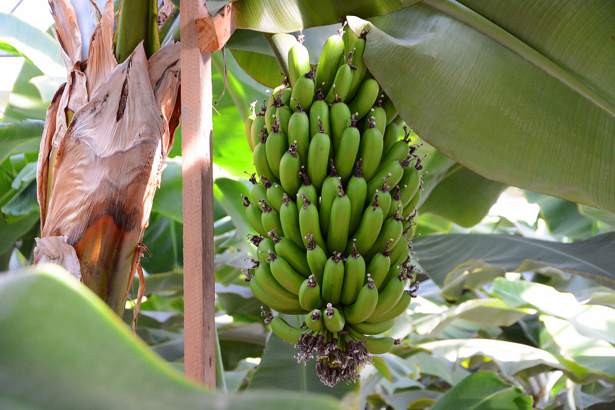 国内哪些高校海洋学科实力强？海洋学专家为你解答