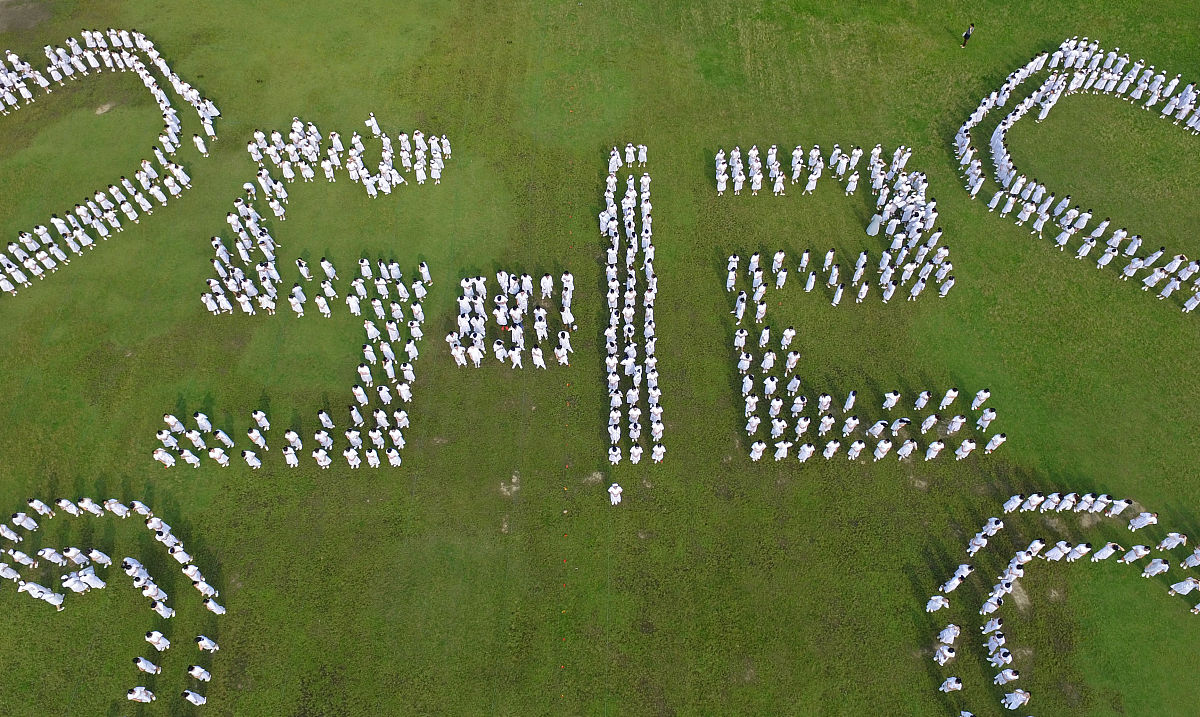 宁波黄泰技工学校2022年招生简章 - 技能培训，开启职业新生活