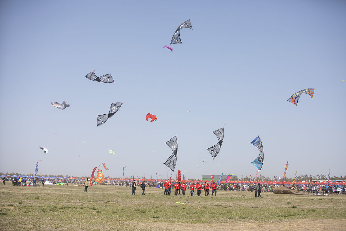 山东旅游必去景点：潍坊风筝节、青岛五四广场、济南趵突泉、菏泽大剧院
