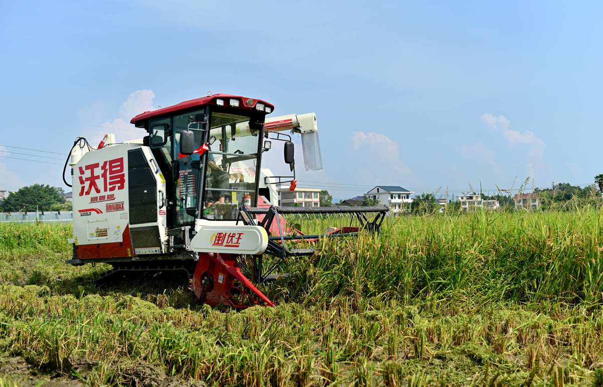 农机使用与养护就业前景分析：机遇与挑战并存