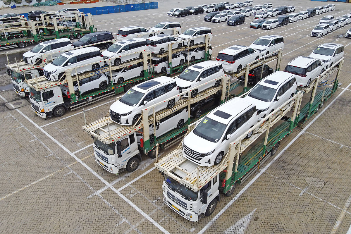 Cargo Damage Investigation: Timber Transportation Identified as Cause