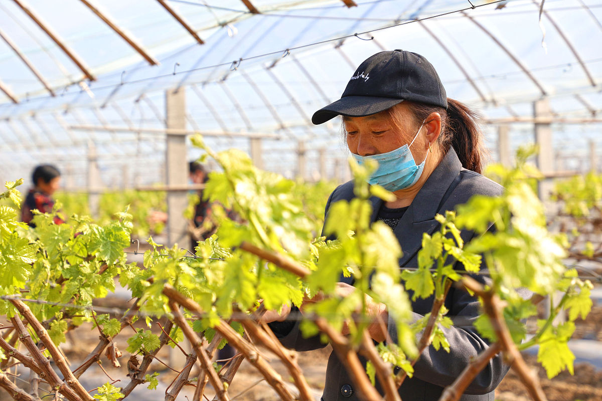 陇南农业学校2023年有哪些专业