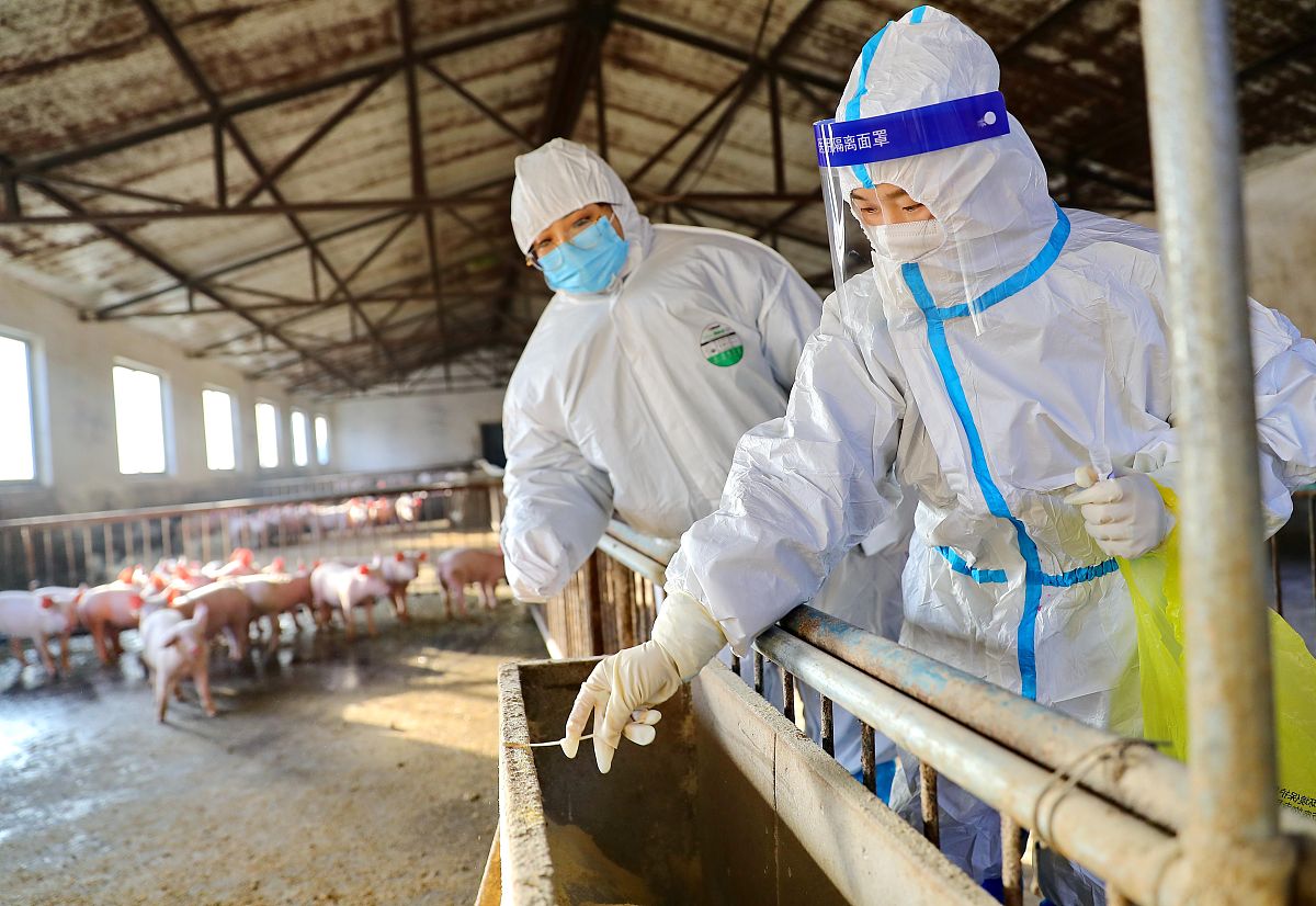 用中文写一篇国内学者关于《犊牛新蛔虫病的诊断及防治技术》研究现状的论文综述至少引用5篇最新文献核心内容进行论述注明作者名称与发表年份不得少于1000字。