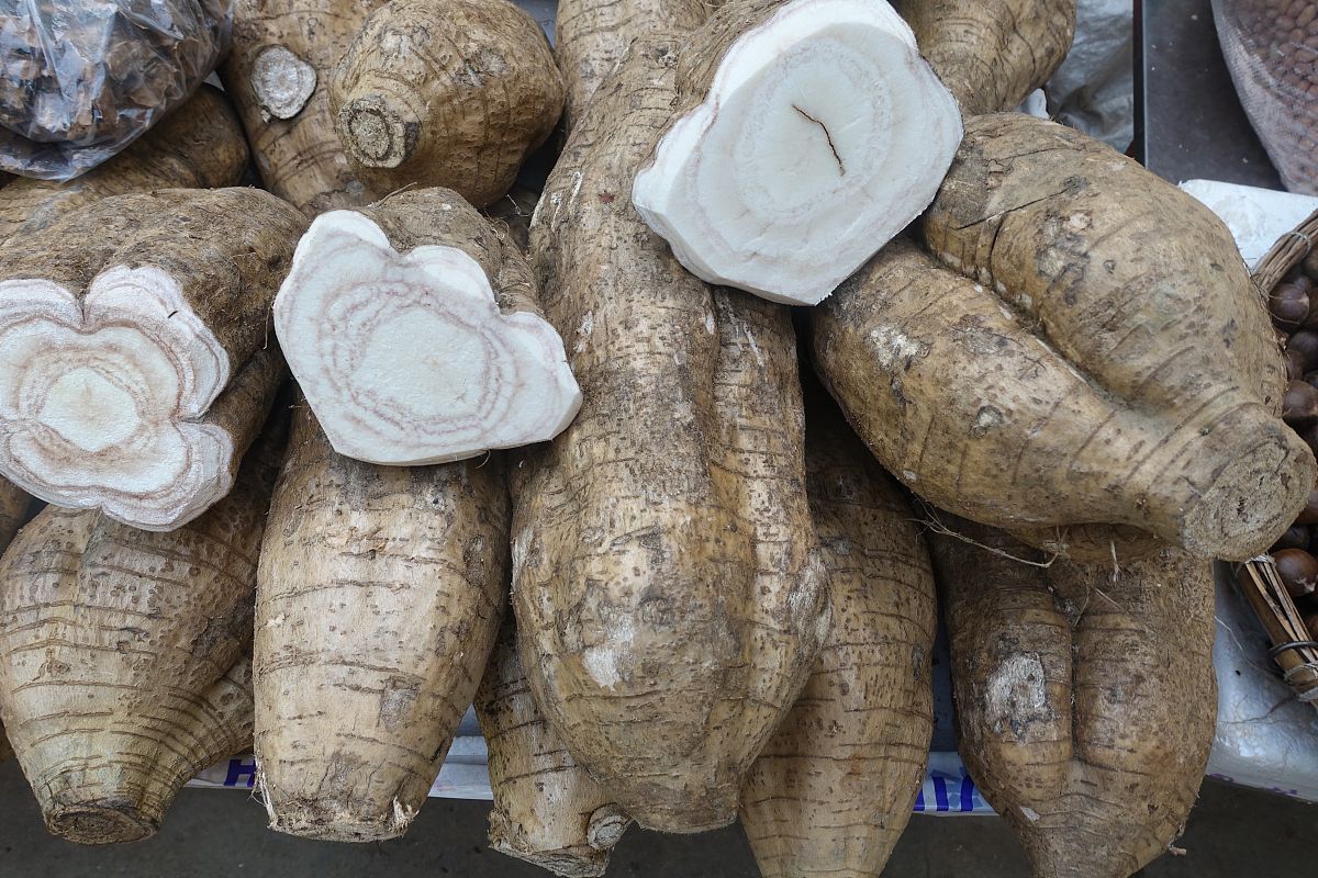 昆明农业学校2022年招生简章 | 报名指南及录取方式