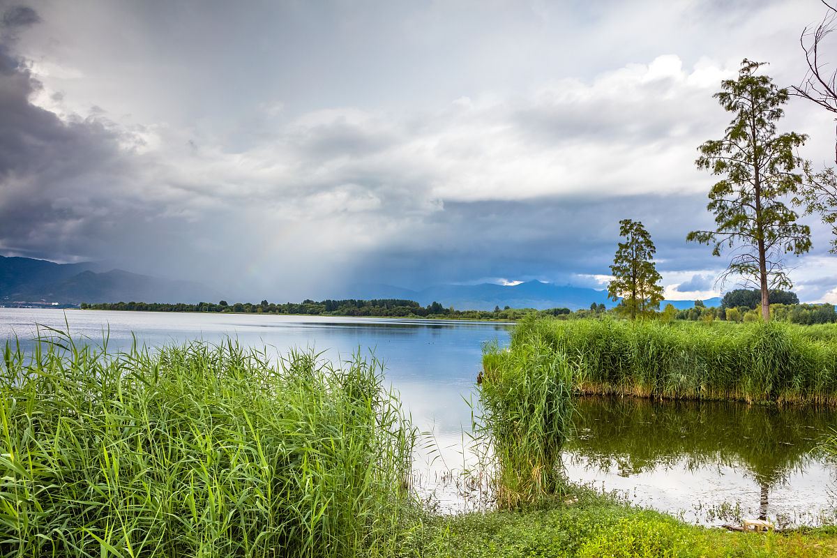 大理幼师中等职业学校2021年招生条件是什么