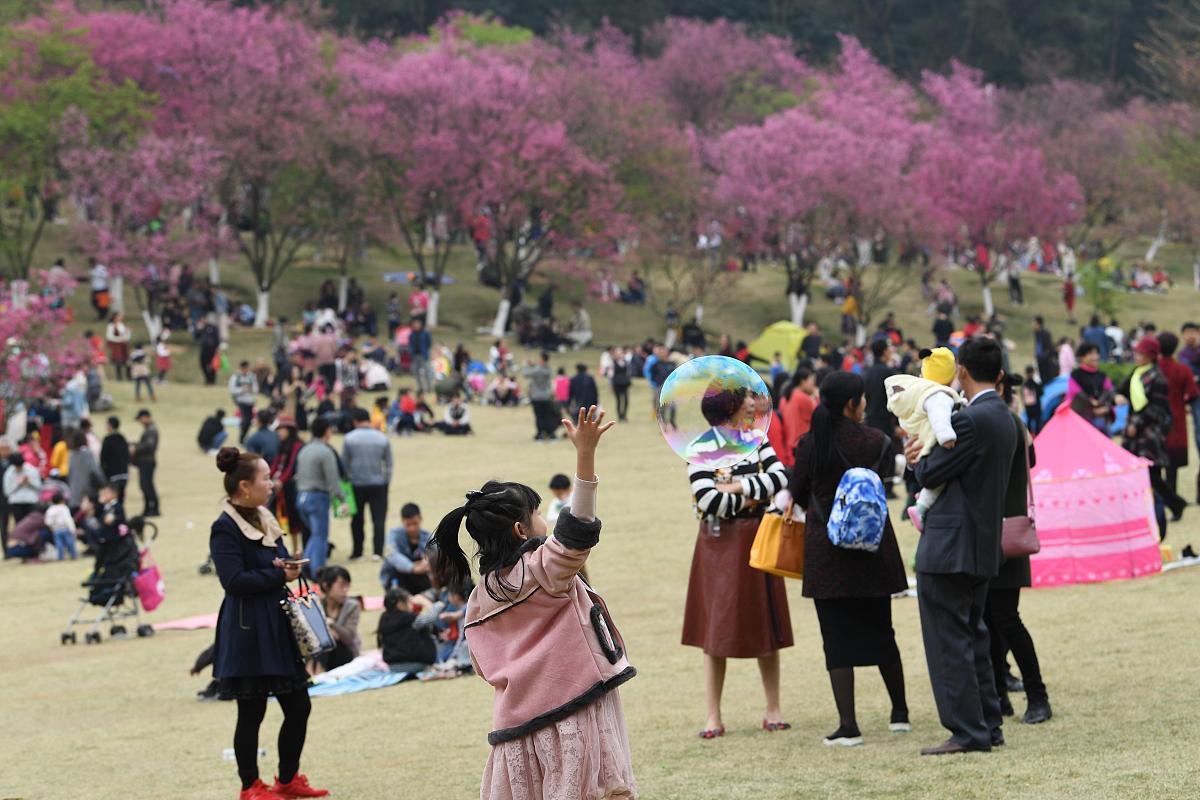 你将扮演学生，要写一个策划，主题是“与春天撞个满怀”，请写出活动内容（活动内容写丰富一些，就是关于赏花之类的）