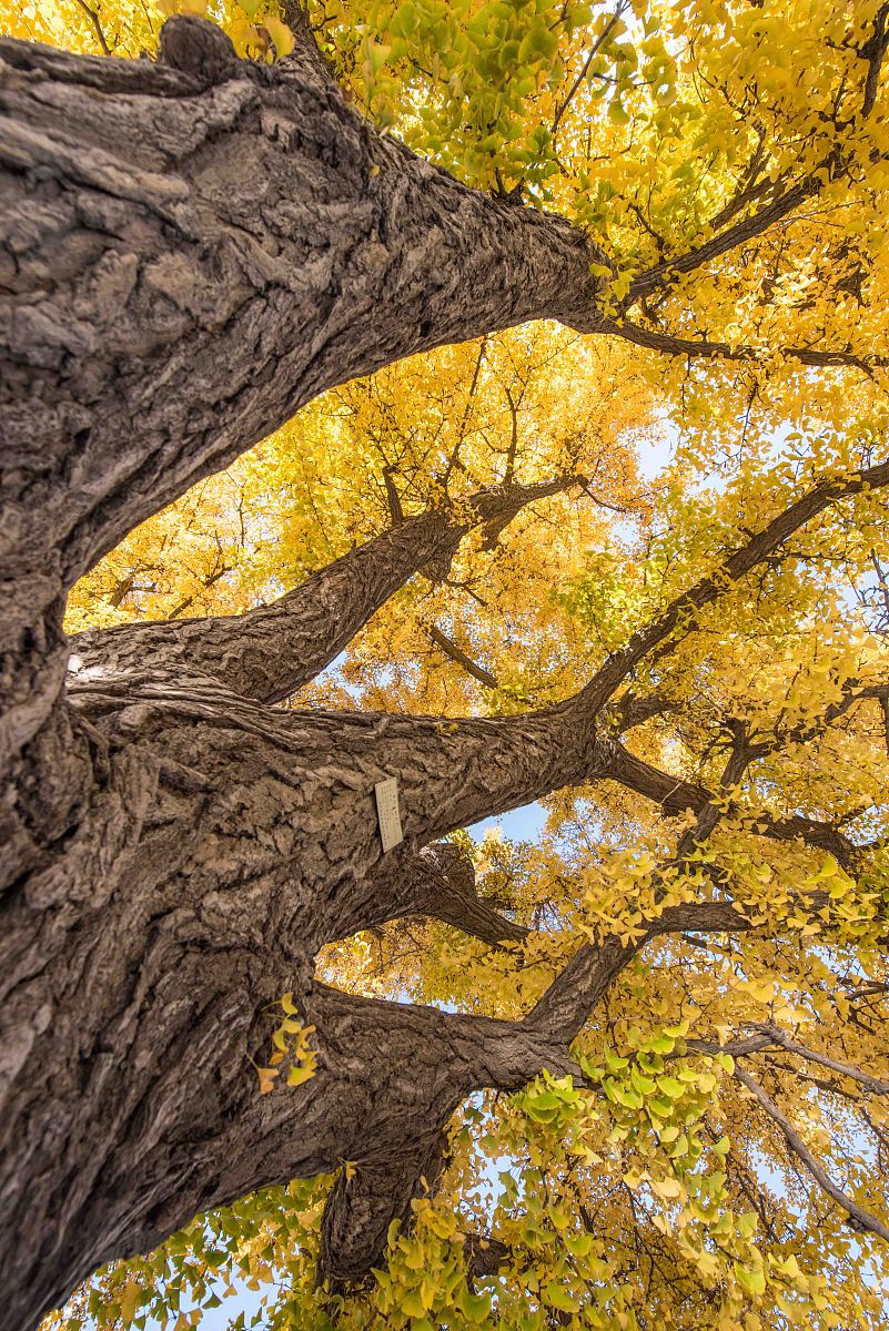 重庆工程职业技术学院2023年对口升学专业 - 选择你未来的方向