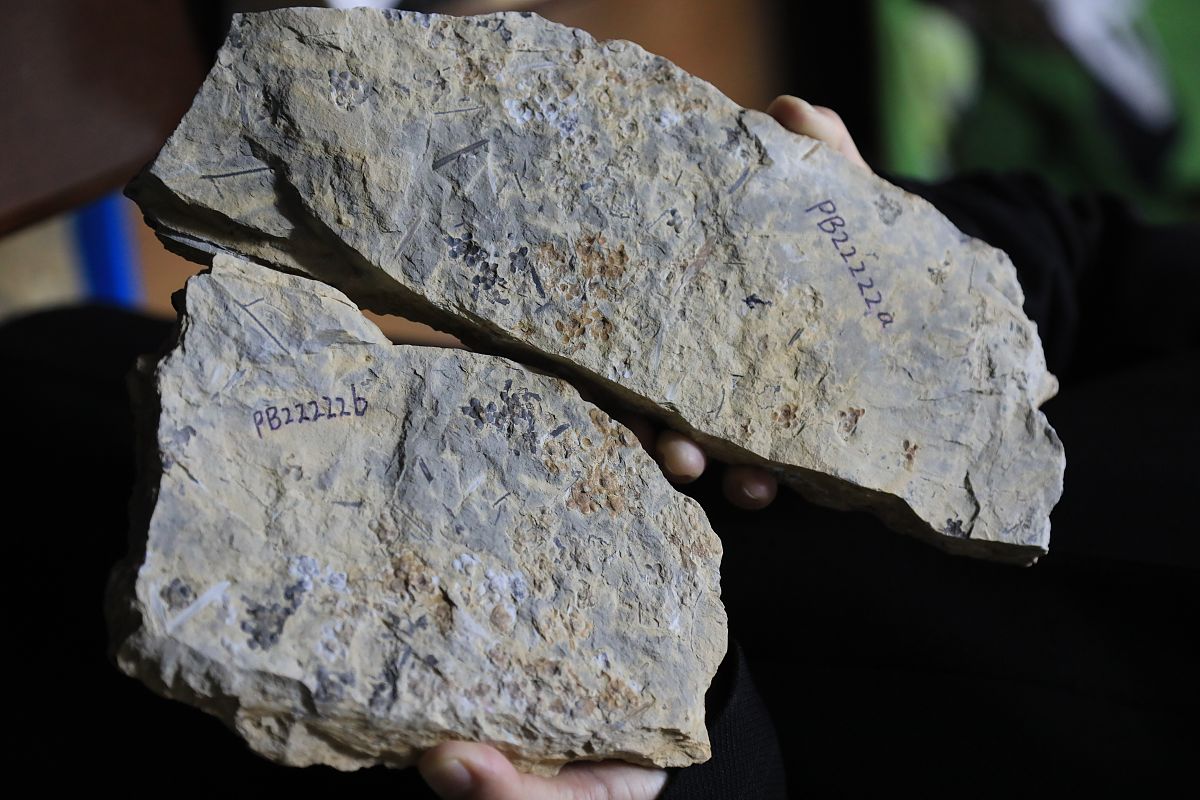 中国航天科技集团公司哪个报告时间、期刊与运用静态分析技术有相关联都列举出来