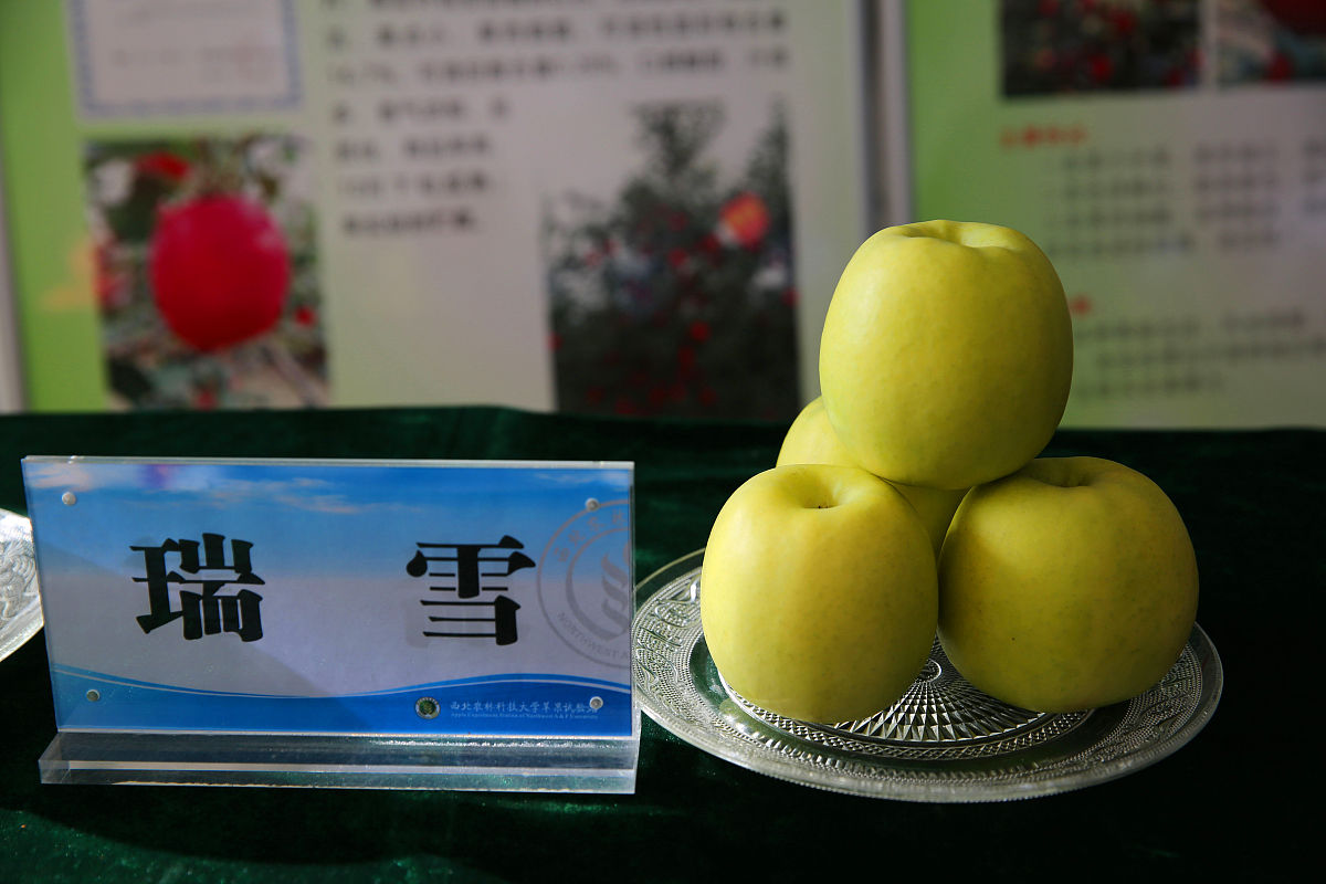 西北农林科技大学的软件工程专业就业方向如何