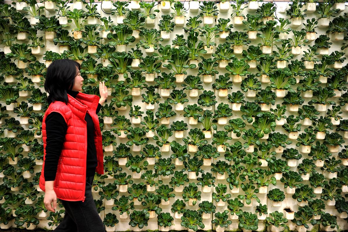 黔东南中等职业技术学校2023年招生简章