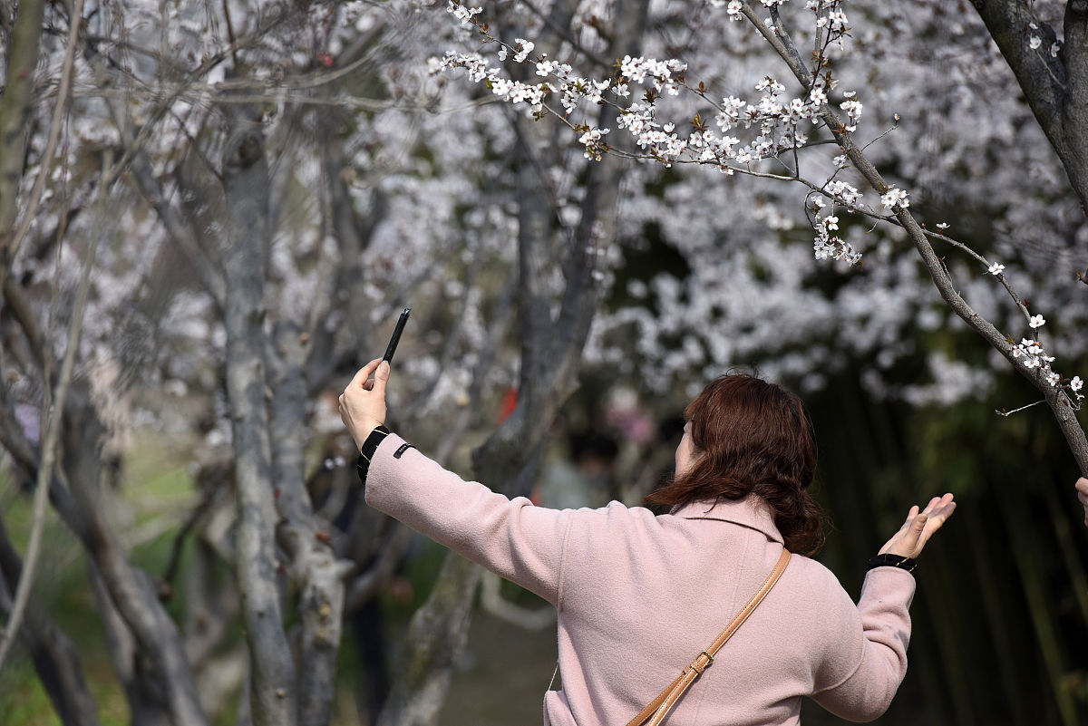 东风拂面，春意盎然：小学生作文赏析