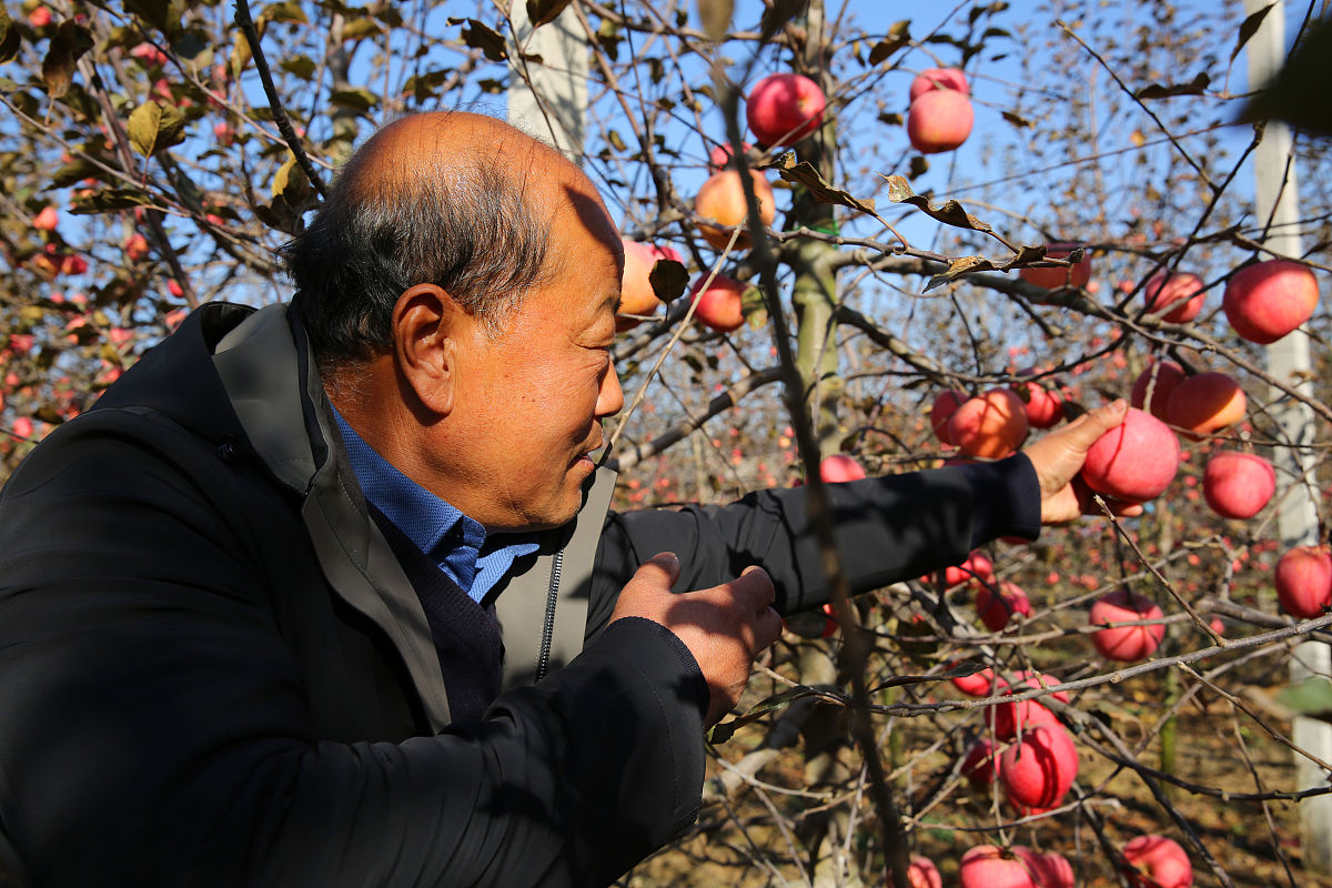 宝鸡希望专修学院招生简章 - 培养高素质专业人才的摇篮