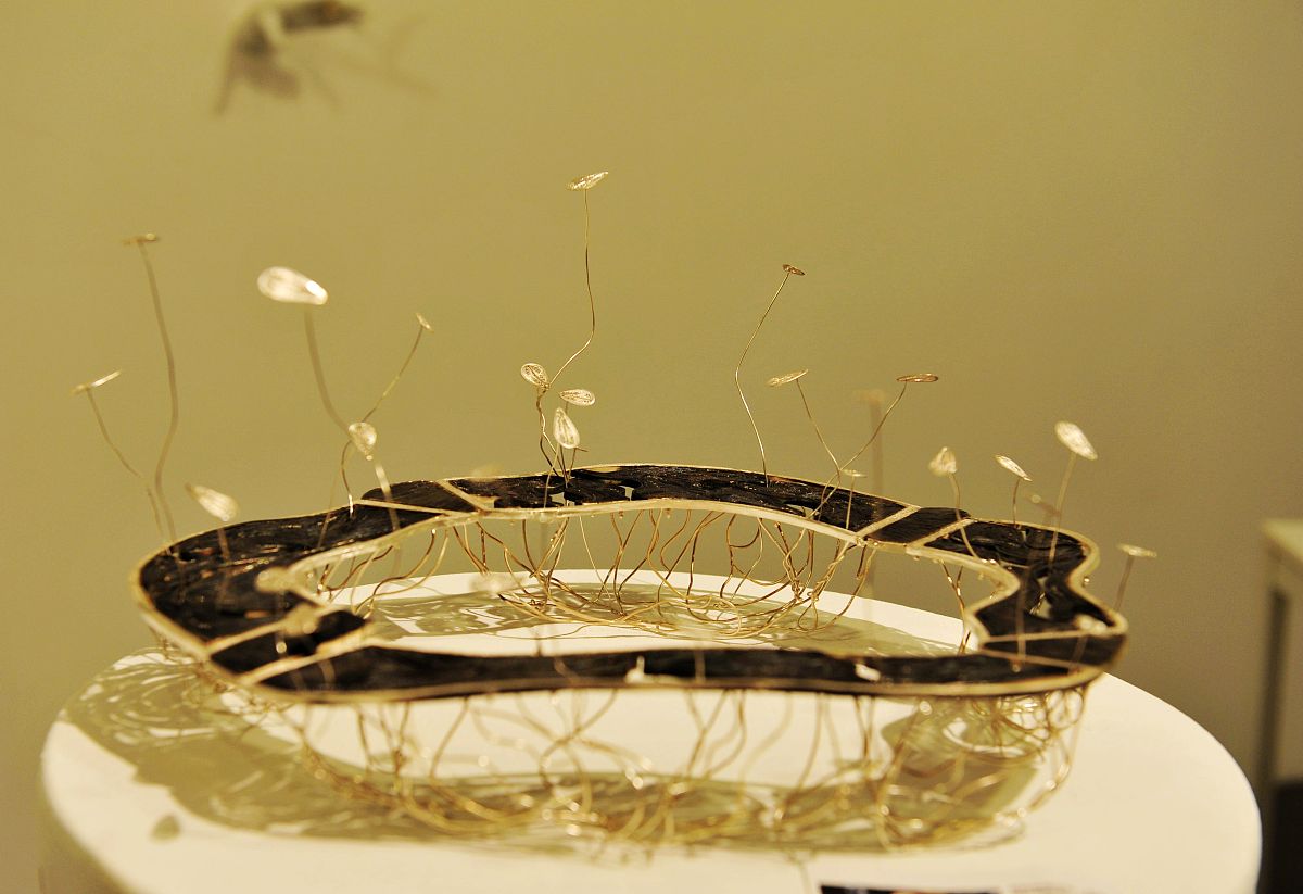 飞蛾停留在水杯上：梦境象征和现实解释