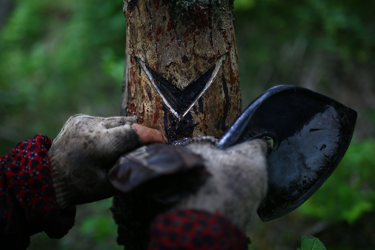 图构建：将每个zipcode作为一个节点将它们之间的关系作为边连接起来构建图数据结构。这个关系具体是哪些关系地理空间上也可以吗