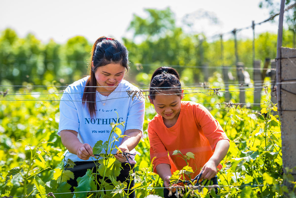 小学四年级小数点计算练习题