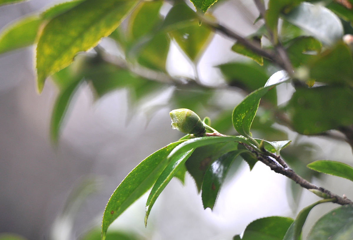 2022年贵阳新城职业学校药剂专业招生