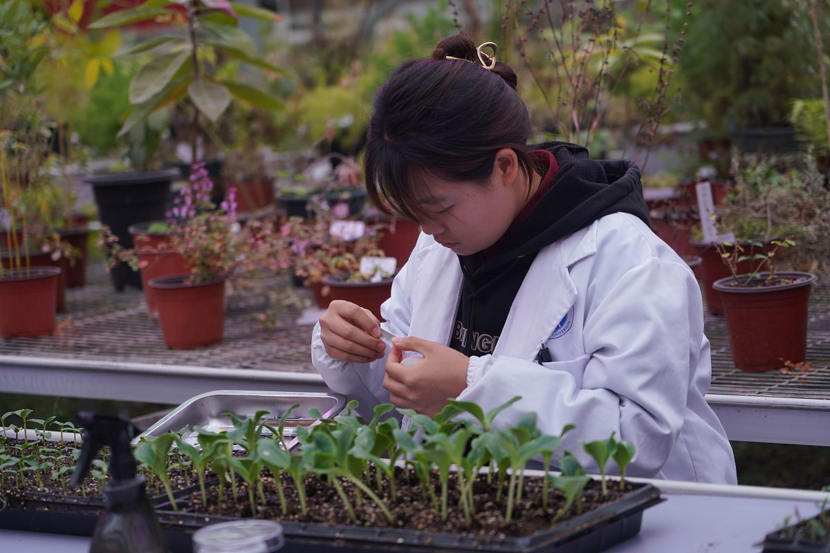 重庆交通职业学院铁道工程技术专业好不好发展前景怎样