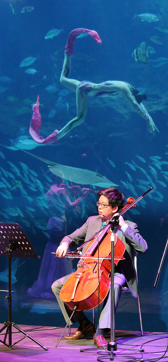 作文《他陶醉了》 500字 要具体描写一件事，例如看表演