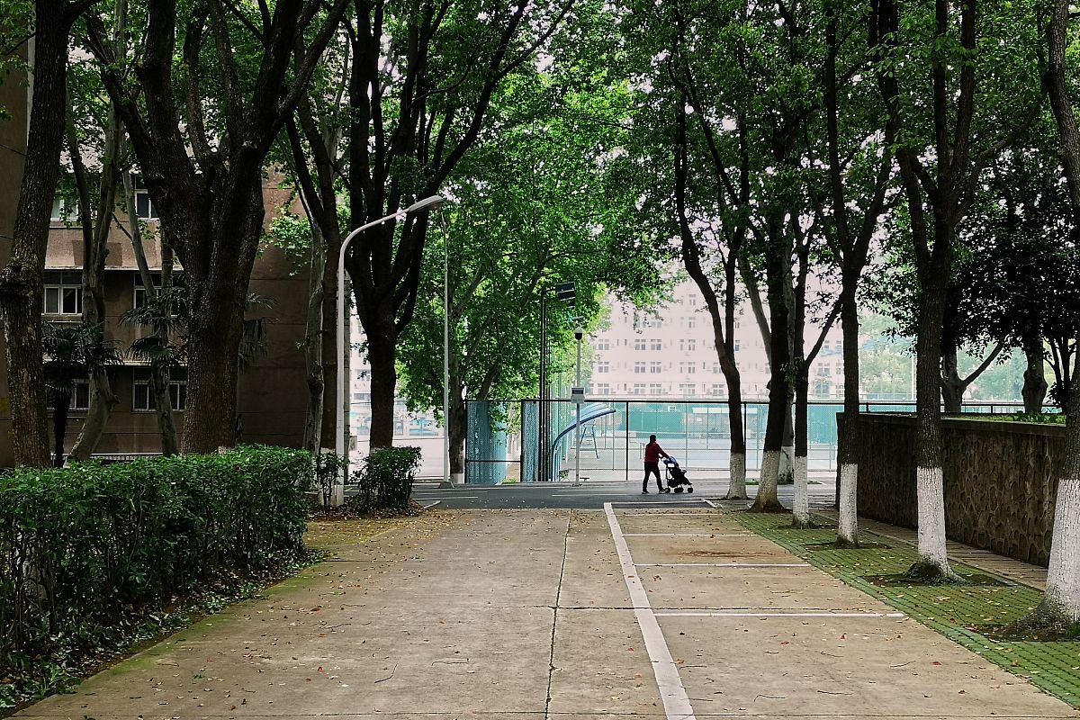 武汉市财政学校 - 校园环境优美如画【官网】