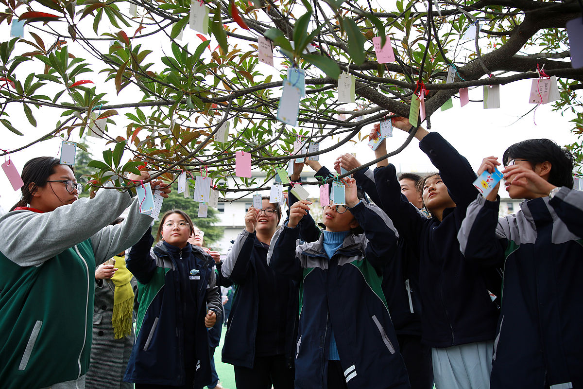 济宁市高级职业学校工程造价怎么样？