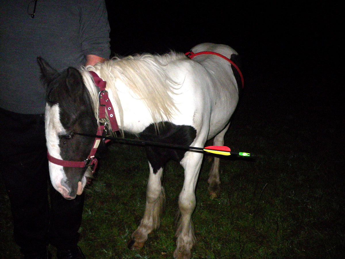 最小公倍数为30的数有哪些？ - 详细解答