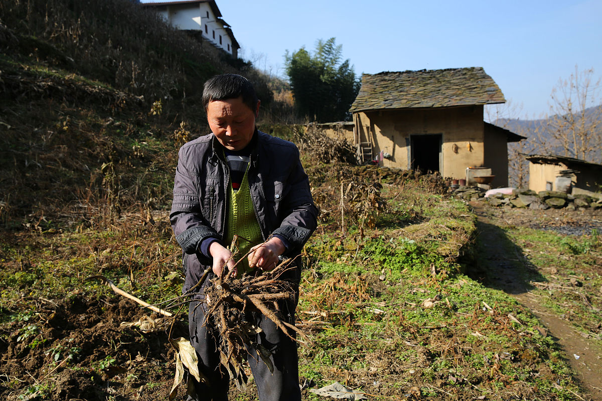 2019年12月11日,陕西安康岚皋堰门镇,一条叫水磨沟的深山沟里,58岁的