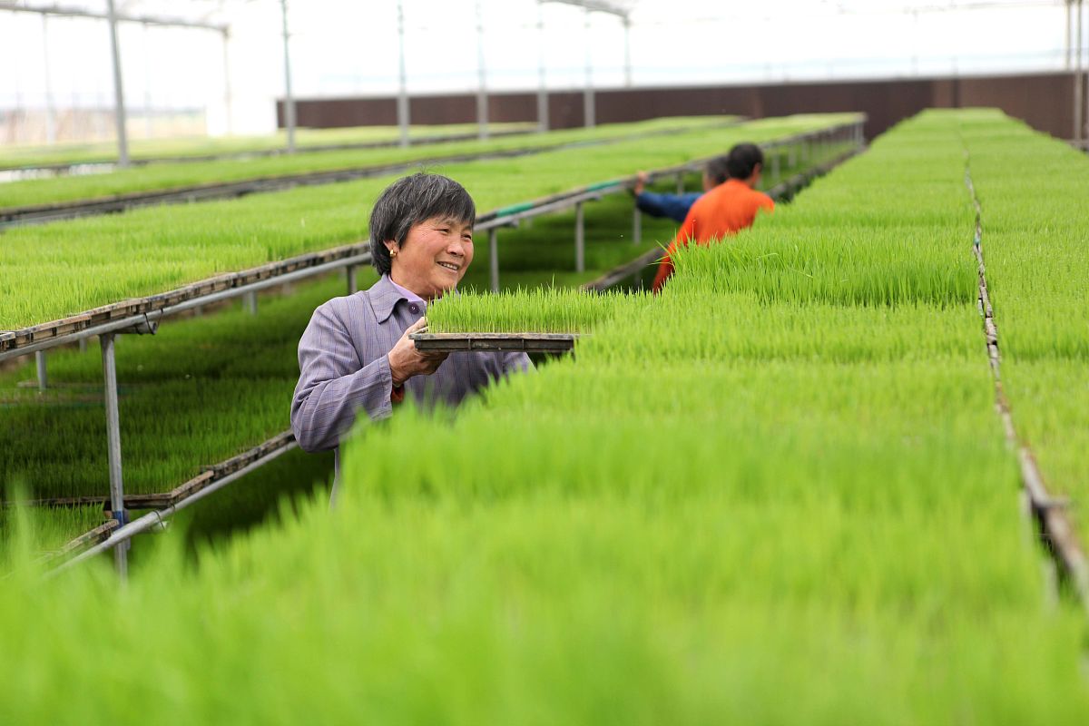 现代农艺技术专业详解及就业方向？