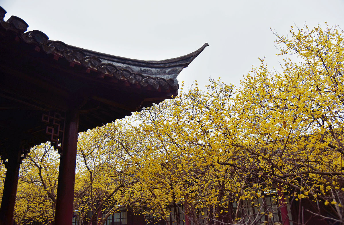 朝阳师范高等专科学校会计专业就业前景如何