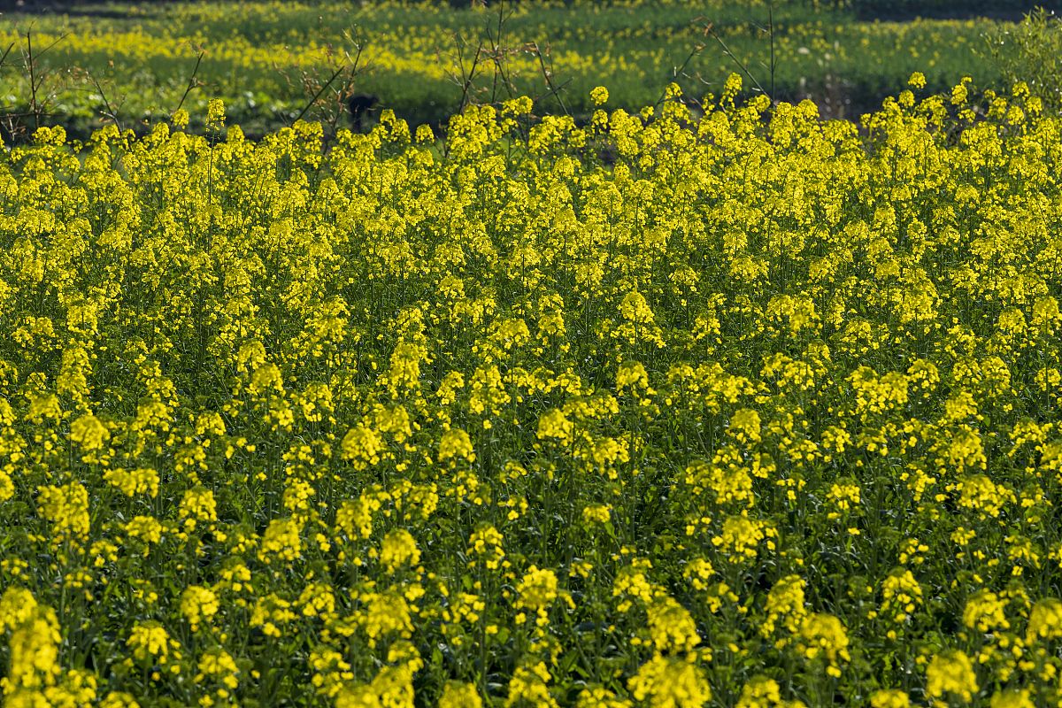 贵州大专和中专的区别：2022年入学指南