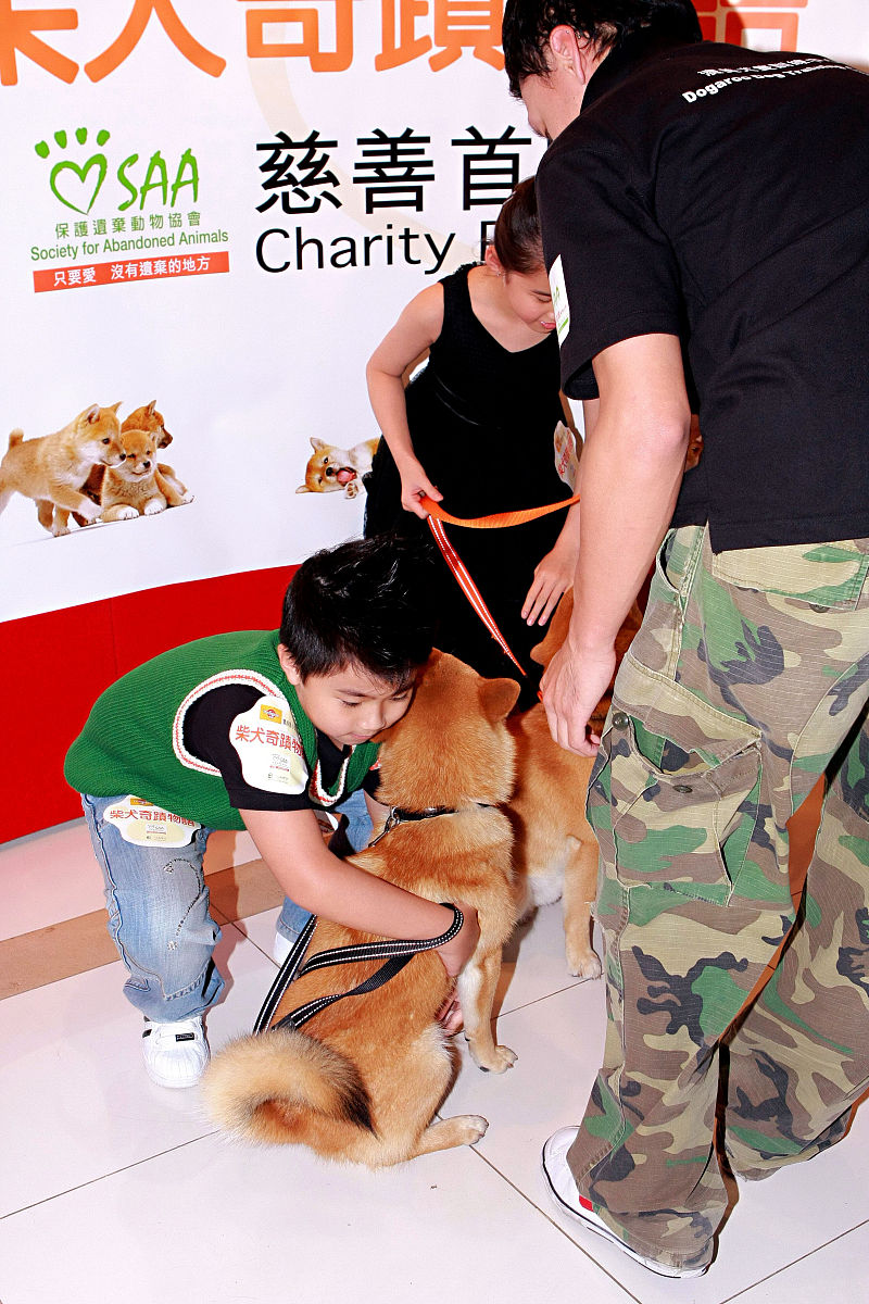 舔狗的自我修养采访拍摄作品实操陈述