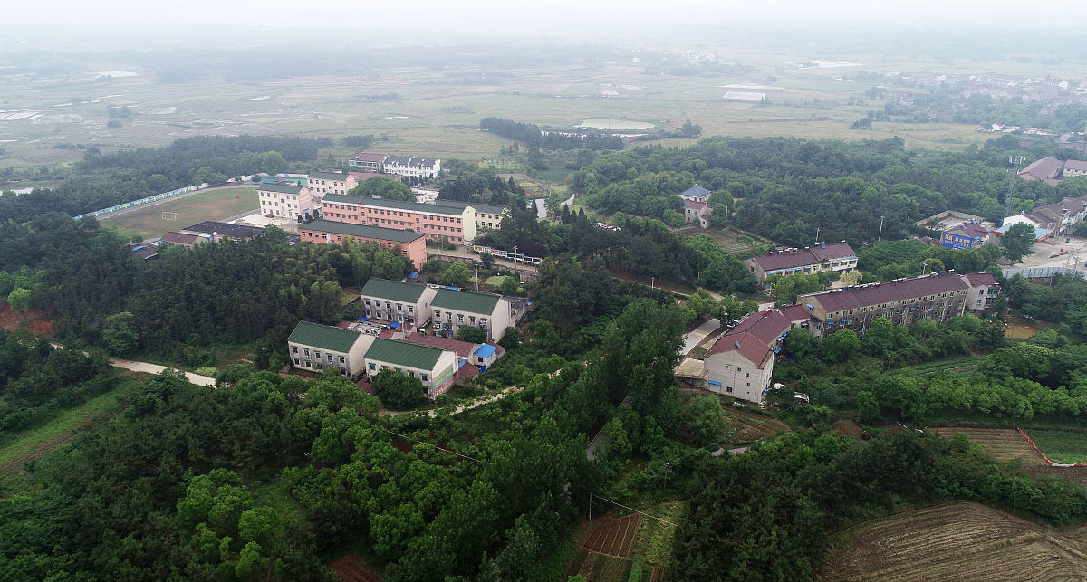 写一首赞美乡村中学的诗歌