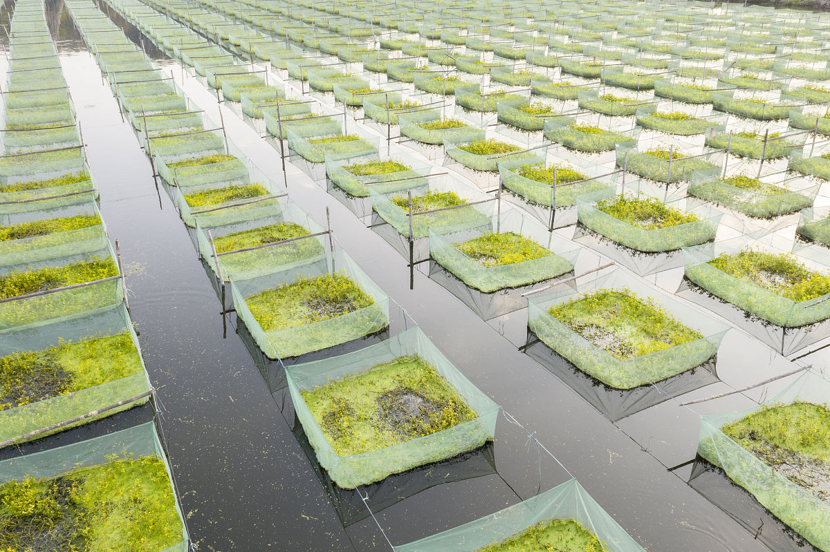 广东白云学院2023招生简章及计划