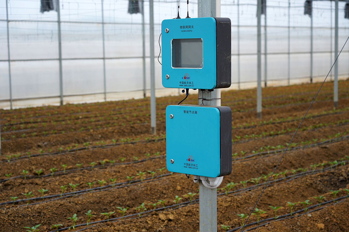 写一段具有温湿度和农药浓度监测及报警的蔬菜农药监测系统的总结